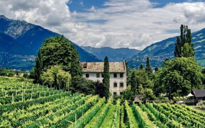 Weinanbaugebiete Italien