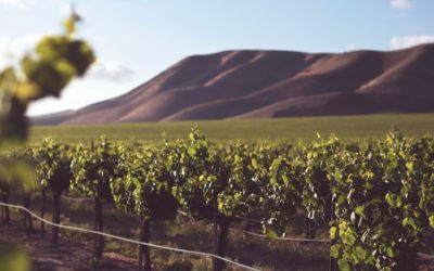 Weinanbaugebiete Spanien